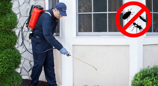 Şirinyer Fare İlaçlama böcek ilaçlama ve haşere kontrolü — ilaclama-tr.com